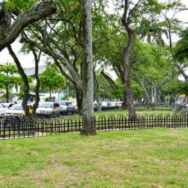 jardines-pasajes-coloridos-inclusivos-asi-es-nuevo-separador-vial-carrera-39-26-01-2022-11