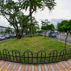 jardines-pasajes-coloridos-inclusivos-asi-es-nuevo-separador-vial-carrera-39-26-01-2022-13