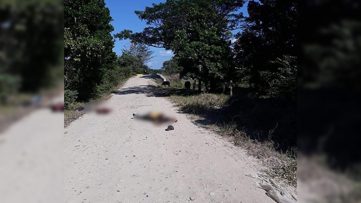 "Si tiene gripa, debe quedarse en casa. No busque pruebas": Salud Valle