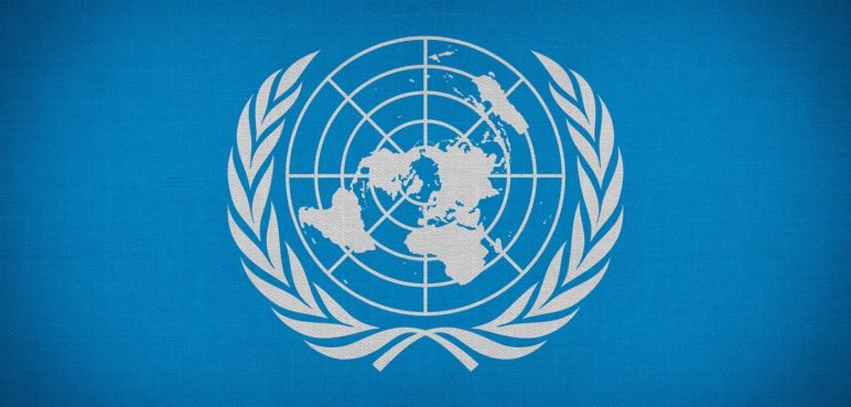 ONU destaca avance en la reincorporación de más de 13.000 excombatientes