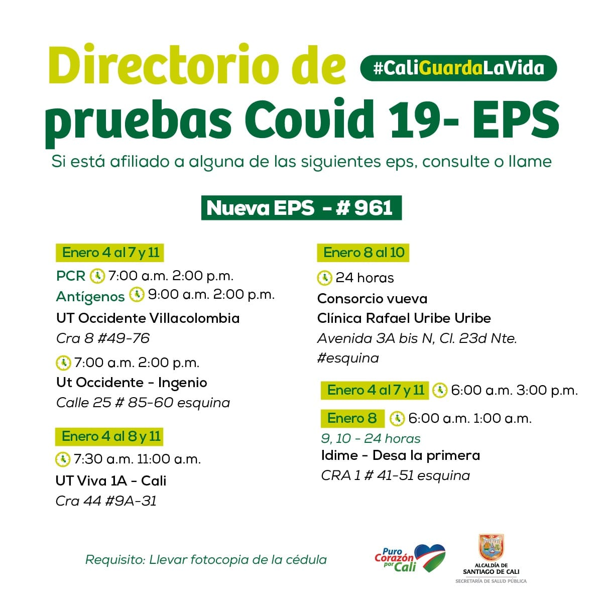 Imágen de galería