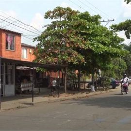 Temor en Llano Verde: Bandas criminales habrían decretado toque de queda
