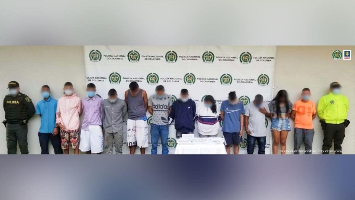 Incautan 30 kilos de marihuana en la comuna 18 de Cali