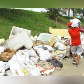 Conozca cuáles son las multas por infracciones ambientales