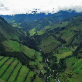 Escuela de Turismo UAO y su apoyo en la conservación y restauración de la Palma de Cera