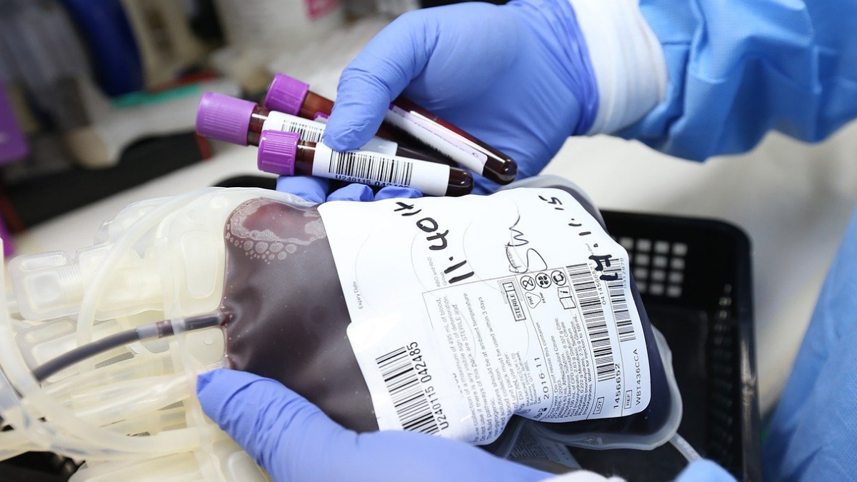 Habrá jornada de donación de sangre en Cali el próximo 28 de febrero