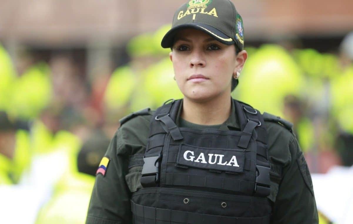 Incautan aeronave del Clan del Golfo con 183 kg de cocaína en el Valle