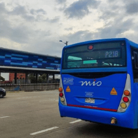 Conozca las cuatro rutas del MÍO que tendrán desvíos este domingo