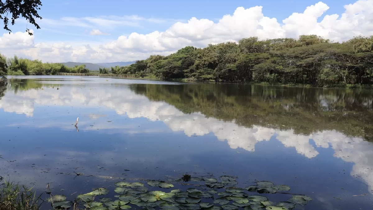 Hombre murió sepultado por un alud de tierra en el Cauca