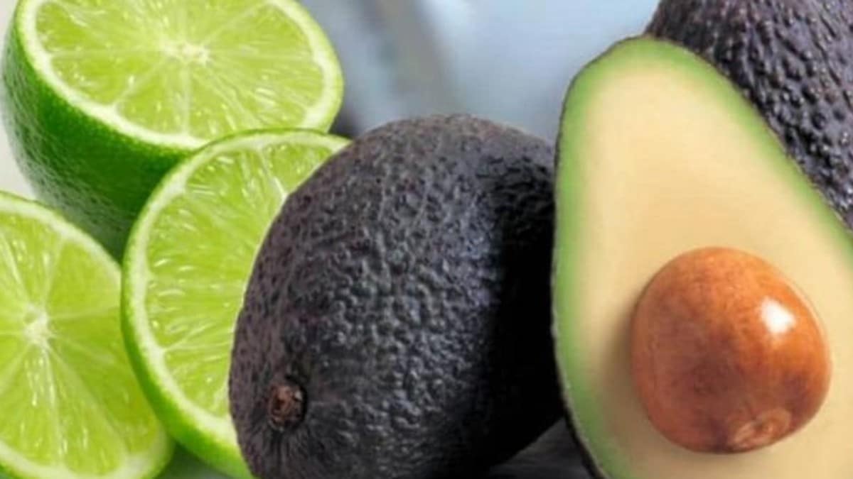 Rutas de acción para productores de limón y aguacate en el norte del Valle
