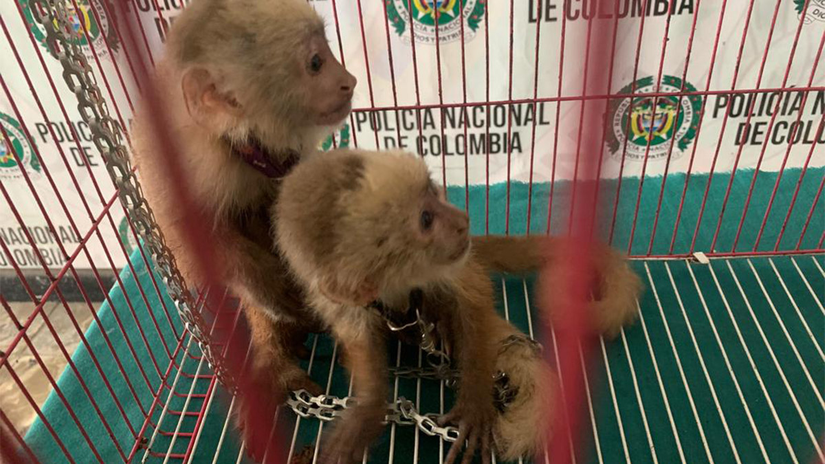 Avanzan trabajos de Emcali para reparar daño que afecta a siete barrios