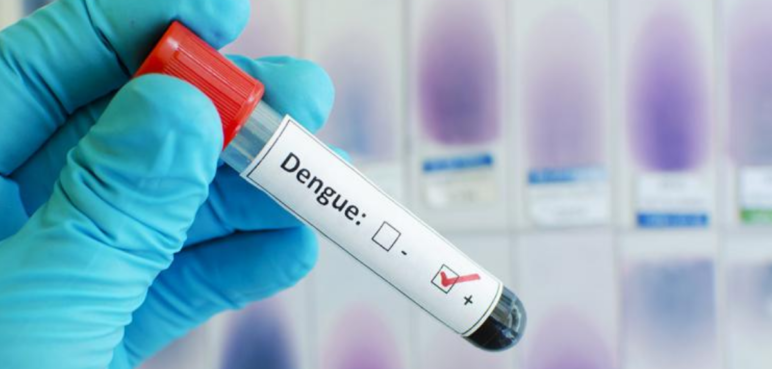Hay preocupación tras el aumento de casos de Dengue en el Valle del Cauca
