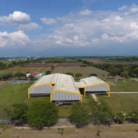 Creador de Amazon dona 17 millones de dólares al  ‘banco de semillas’