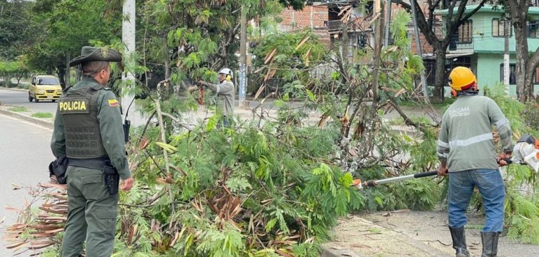 Dagma impuso sanciones a infractores de  normas ambientales en Cali