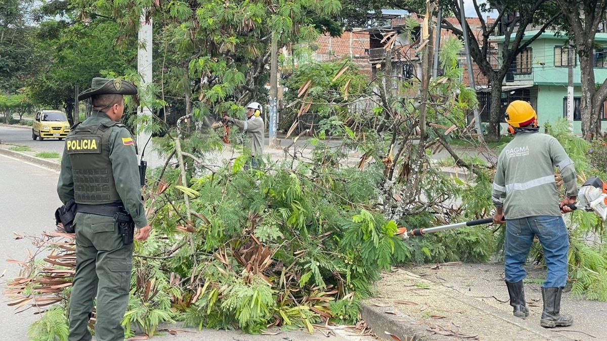 Dagma impuso sanciones a infractores de normas ambientales en Cali