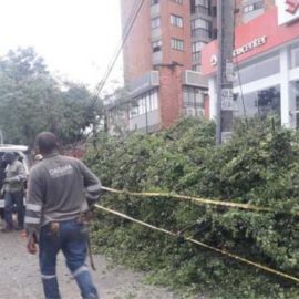 Grupos operativos del DAGMA siguen atendiendo las emergencias por lluvias
