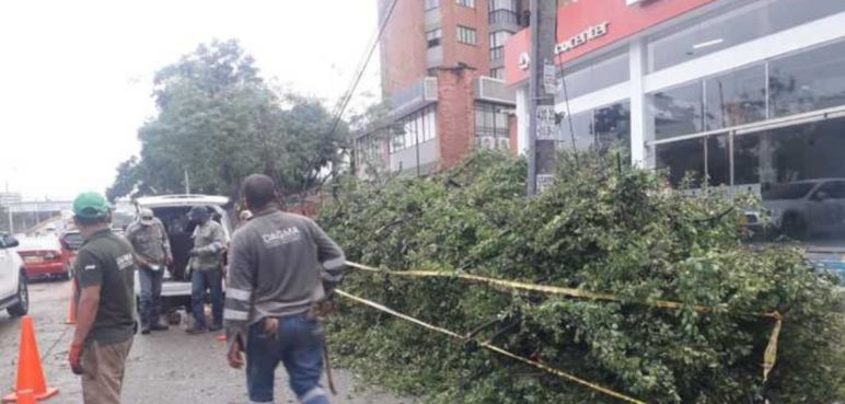 Grupos operativos del DAGMA siguen atendiendo las emergencias por lluvias