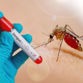 ¿Qué está pasando? Casos de dengue en Cali han incrementado en el último mes