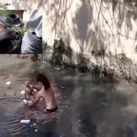 Joven protagonizó acto heroico al lanzarse al caño para salvar a un perrito