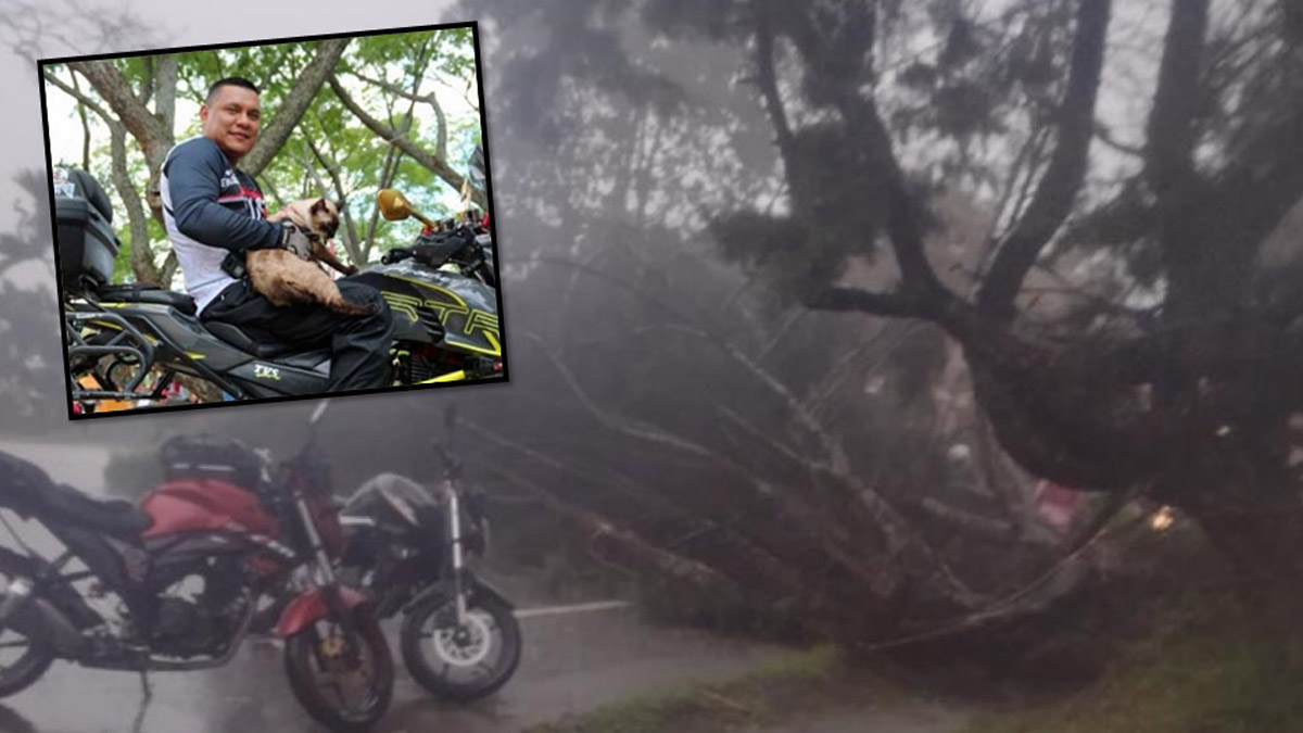 Motero de club de Cali murió al caerle la rama de árbol mientras se escampaba