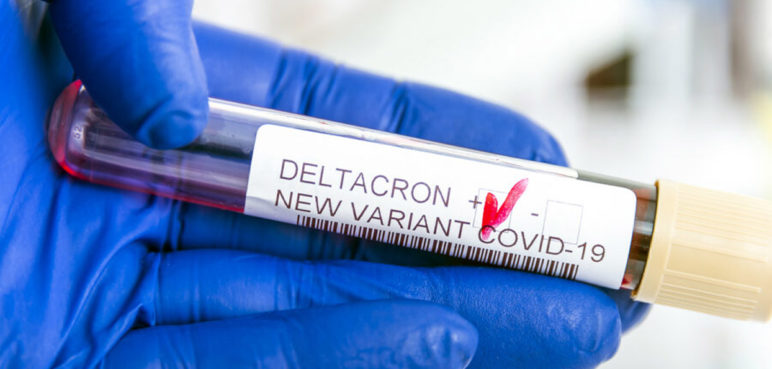 OMS observa que la nueva "deltacron" tiene un bajo nivel de circulación