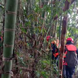 Sigue búsqueda de mujer arrastrada por creciente súbita en zona rural de Jamundí