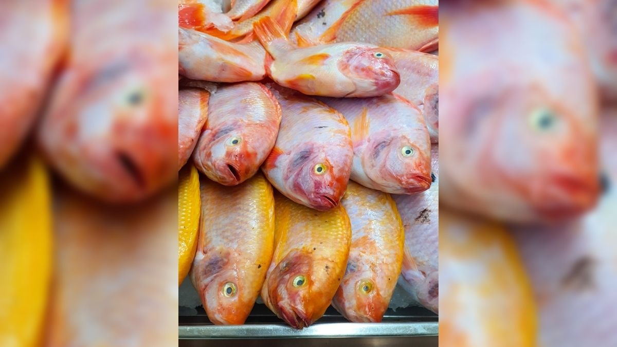 Alimentos para Semana Santa: Reactivación del comercio por compras