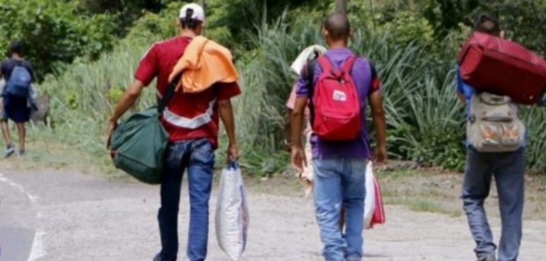 Alrededor de 300 personas buscan refugio por combate en Argelia