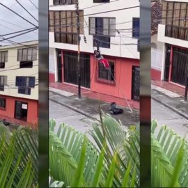 Video: hombre casi se electrocuta intentando robar cable de un poste en Cali