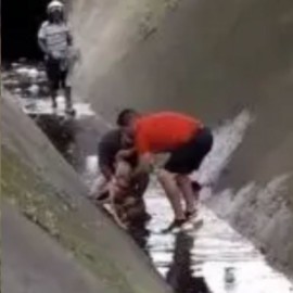 Rescatan a perro que estuvo atrapado tres horas en canal de aguas lluvias
