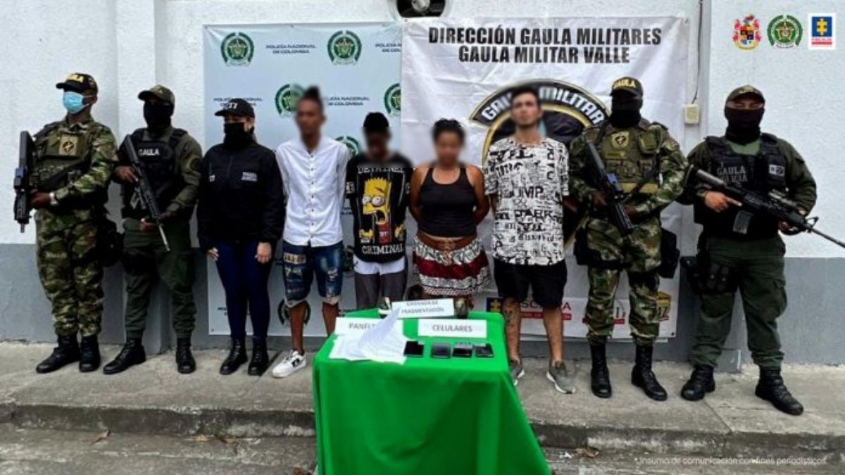 Renuevan 30 Palmas Zanconas ubicadas en la Plaza de Cayzedo