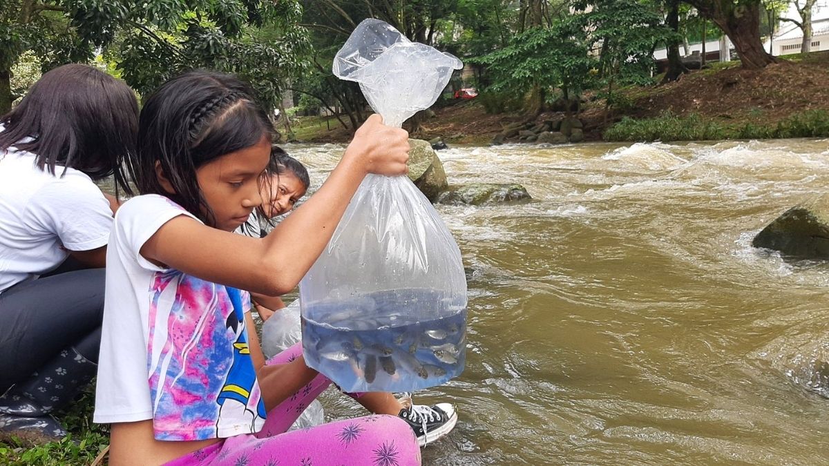 Varios ríos de Cali se teñirán de rojo, conozca aquí la razón
