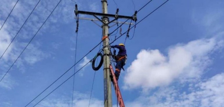 ERT denuncia robos sistemáticos de redes de telefonía en Buga y Cartago