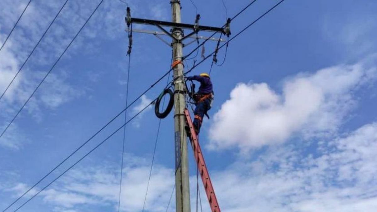 ERT denuncia robos sistemáticos de redes de telefonía en Buga y Cartago