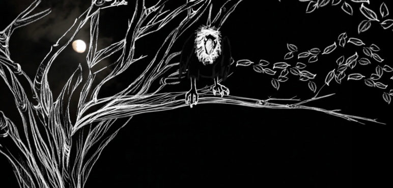 Estreno nacional: “El Árbol de Matías”, de la directora Pilar Perdomo