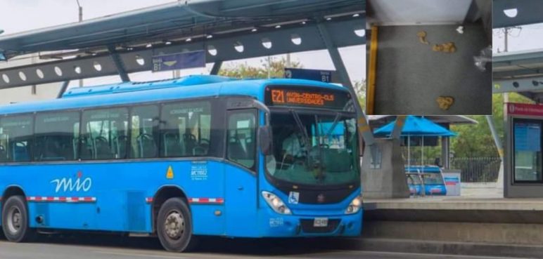 Tras de que le robó el celular, ladrón apuñaló a mujer dentro de bus del MÍO