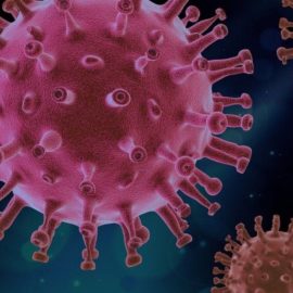 "Es indispensable vigilar el virus del Covid-19": OMS
