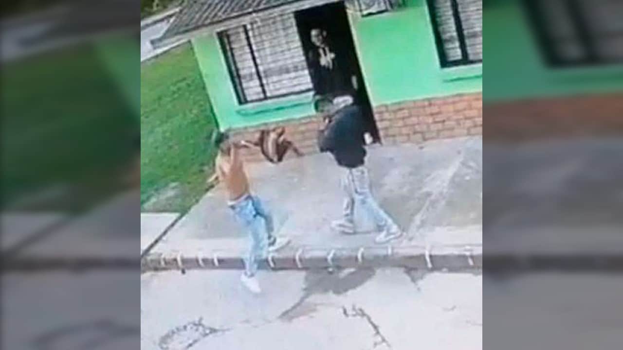 Video: dos hermanos se pelearon a cuchillo tras una fiesta de cumpleaños