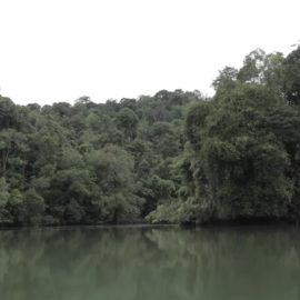 Bahía Málaga: Un paraíso del Valle que combate el calentamiento global