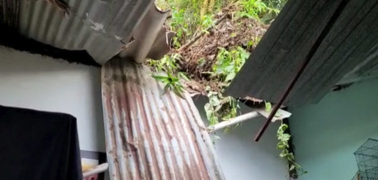 Caída de gran árbol ocasionó graves daños a casa de zona de ladera de Cali