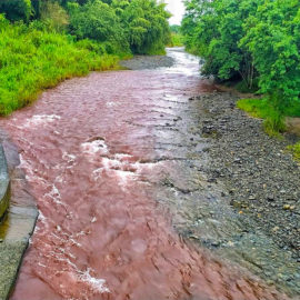 Video: así comenzaron las pruebas que teñirán de rojo algunos ríos de Cali