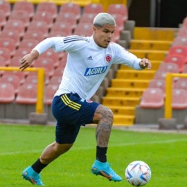 ‘Cucho’ Hernández: “Hay que trabajar desde ya para el próximo mundial”