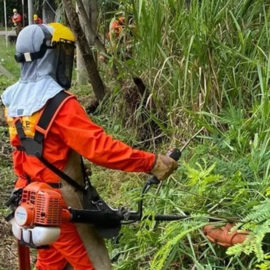 En 2022 se han intervenido 1.200 kilómetros de vías en el Valle