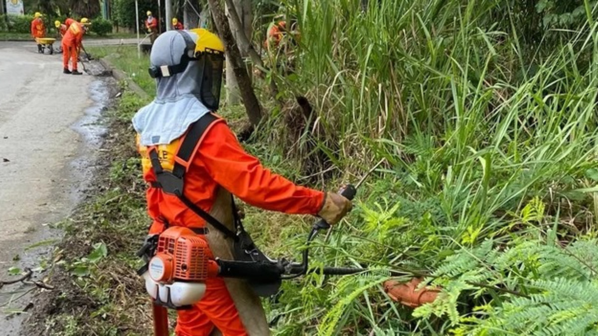 Registraduría anuncia que hay más de 41 mil cédulas sin reclamar en el Valle