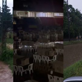 Inundaciones y caídas de árboles: balance de las lluvias del sábado en Cali
