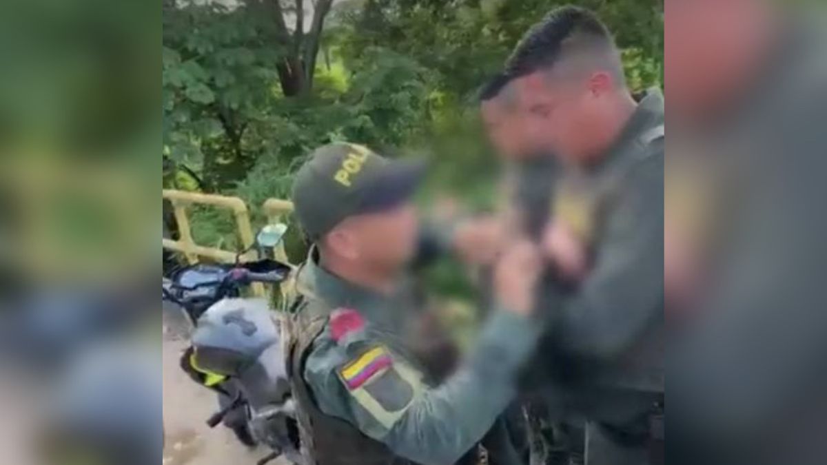 Daños materiales y una perra herida dejó atentado contra la Policía en Robles, Valle