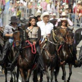 Aprueban ordenanza de "bienestar animal" para realizar cabalgatas en el Valle