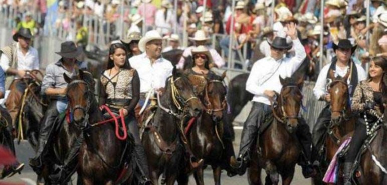 Movimiento Animalista del Valle busca prohibir las cabalgatas