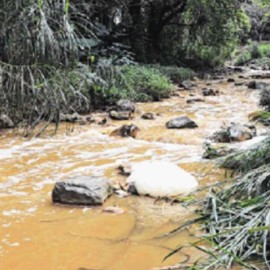 Una mujer murió tras ser arrastrada por una quebrada en zona rural de Tuluá