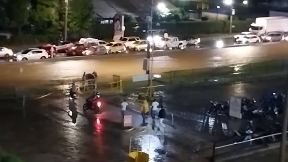 Movimiento Animalista del Valle busca prohibir las cabalgatas